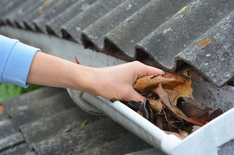 Gutter Cleaning in Action