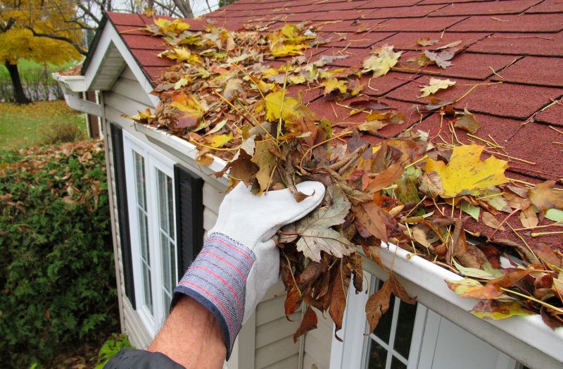 Winter Gutter Maintenance